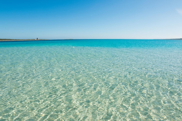 Blauer Himmel über Stintino-Meer in Sardinien