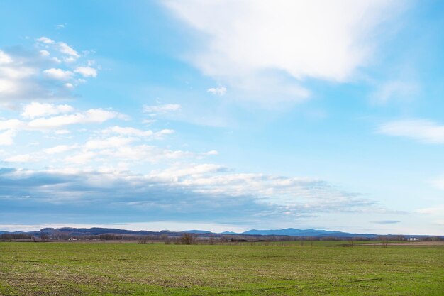 Blauer Himmel über winterlichen landwirtschaftlichen Feldern im Frühjahr