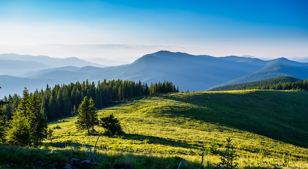 Blauer Himmel und grüne Hügel.