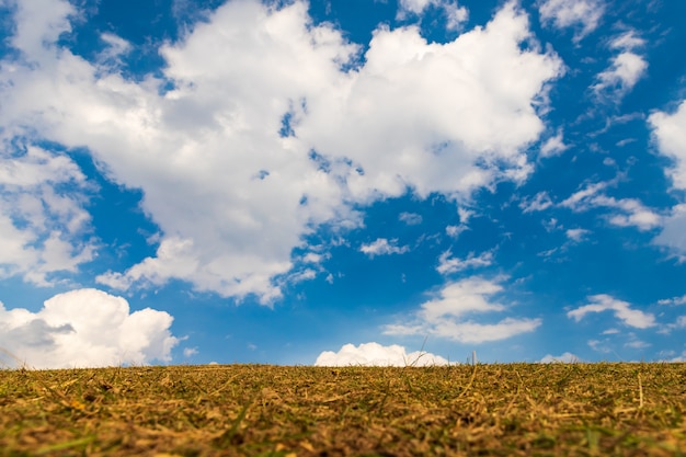 Foto blauer himmel und trockenrasenfläche auf dem boden, natürlicher landscrap hintergrund