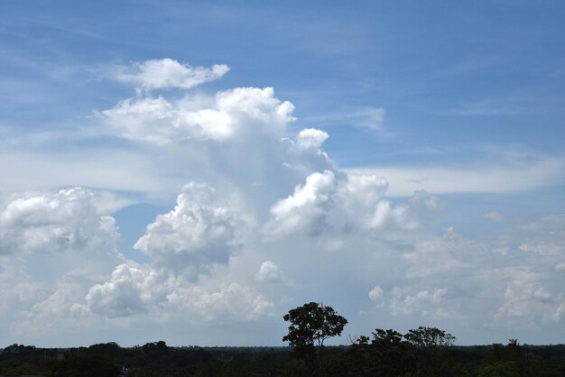 Blauer Himmel und weiße Wolken