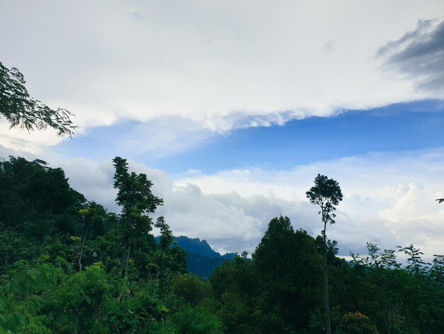 blauer Himmel und Wolken Pastell-Stil Himmel und WolkenFrische des neuen Tages Hellblauer Hintergrund