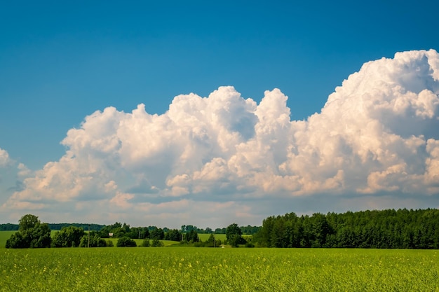 Blauer Himmelshintergrund mit weiß gestreiften Wolken im Himmel und Unendlichkeit kann als Himmelsersatz verwendet werden