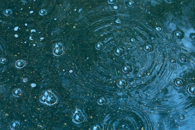 blauer Hintergrund Regenpfütze / Regentropfen, Kreise auf einer Pfütze, Blasen im Wasser, das Wetter ist Herbst