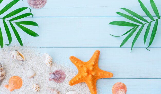 Blauer Holzhintergrund mit tropischem Baum verlässt Sand und Muscheln