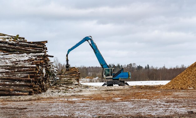 Blauer Holzlader in Aktion Baumstämme auf einem Haufen