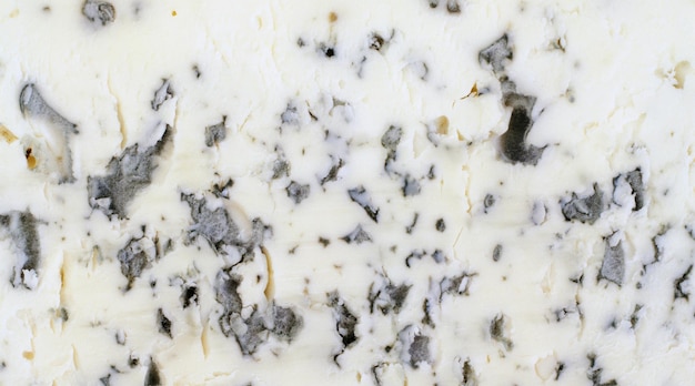 Foto blauer käse
