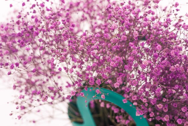 Blauer Korb mit rosa Gypsophila-Blume aus nächster Nähe