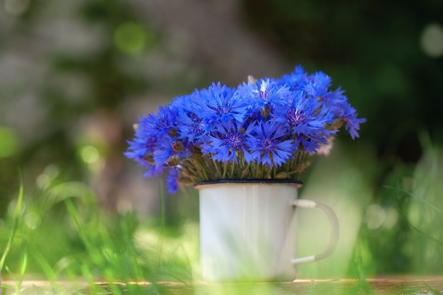 Blauer Mais des schönen Blumenstraußes des Sommers blüht im weißen Topf auf Natur