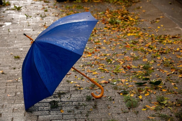 Blauer Regenschirm, der auf nasser Straße steht