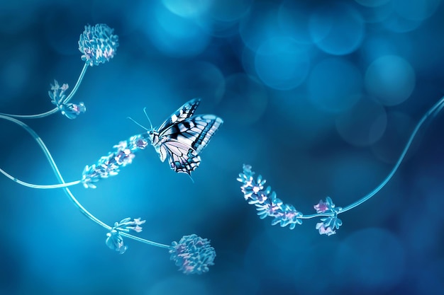 Blauer rosa schöner Schmetterling auf einem rosa Blumen Blauer Hintergrund Natürlicher Sommerfrühling künstlerisches Makrobild Eine schöne Hintergrundbeleuchtung