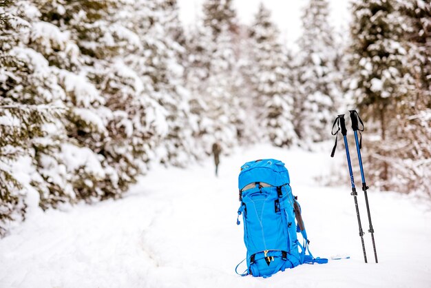 Blauer Rucksack und Tracking-Sticks im verschneiten Tannenwald. Winterwanderkonzept