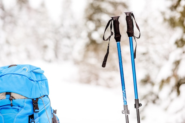 Blauer Rucksack und Tracking-Sticks im verschneiten Tannenwald. Winterwanderkonzept