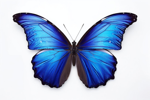 Blauer Schmetterling auf durchsichtigem Hintergrund KI