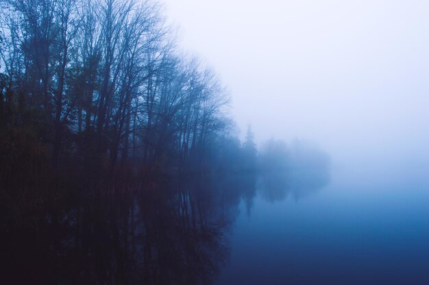 Blauer See im Morgennebel