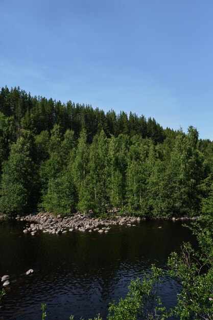 Blauer See und grüner Mischwald an einem sonnigen Sommertag Girvas Paläovulkan ist ein beliebter Ort