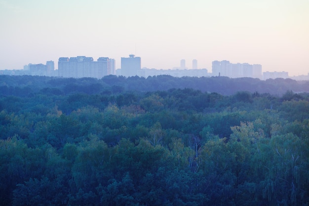 Blauer und rosafarbener früher Sonnenaufgang über Häusern und Park