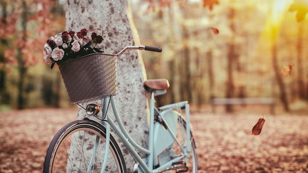 Blaues Fahrrad neben dem Baum