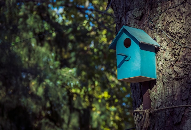 Blaues Holzvogelhaus im Park