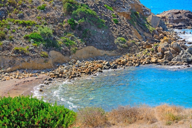 Blaues Meer und grüne Pflanzen in Sardinien Italien