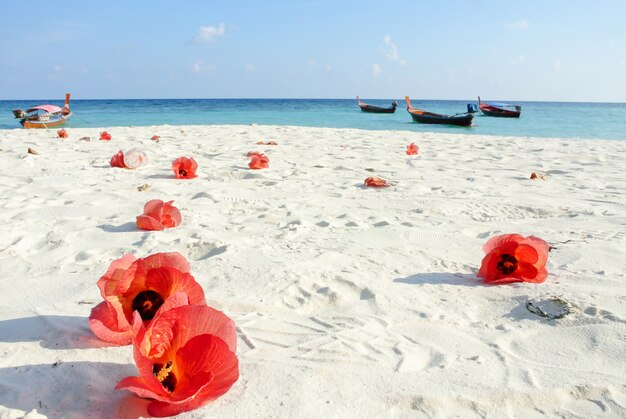 Blaues Meer, weißer Sand und rote Hibiskusblüten