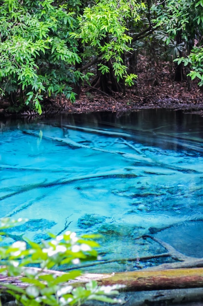 Foto blaues pool krabi-provinz eins das erstaunen im süden von thailand bestimmungsort. wählen sie den fokus aus.