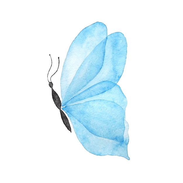 Blaues Schmetterlingsaquarell