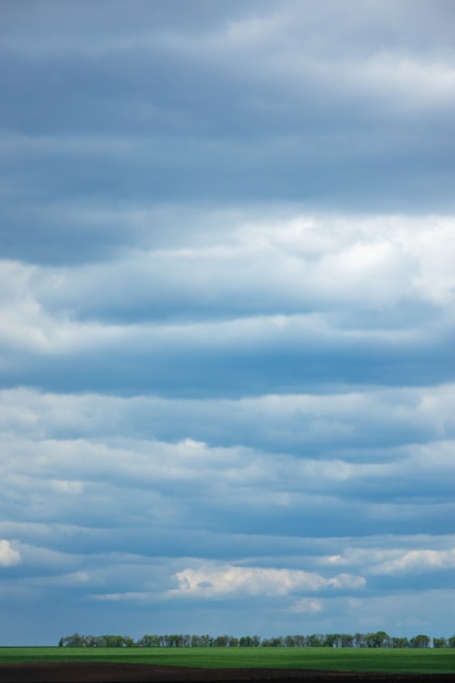 Blaugrauer bewölkter Himmel vor dem Regenhintergrund mit grünem Streifen als Skyline. Platz für Text. Ökologisches Umweltkonzept.