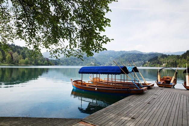 Bled es una ciudad en el lago Bled en Eslovenia