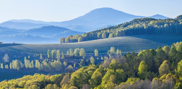 Blick auf Berge mit grünem Wald bedeckt