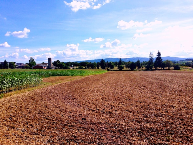 Blick auf bewirtschaftetes Land gegen den Himmel
