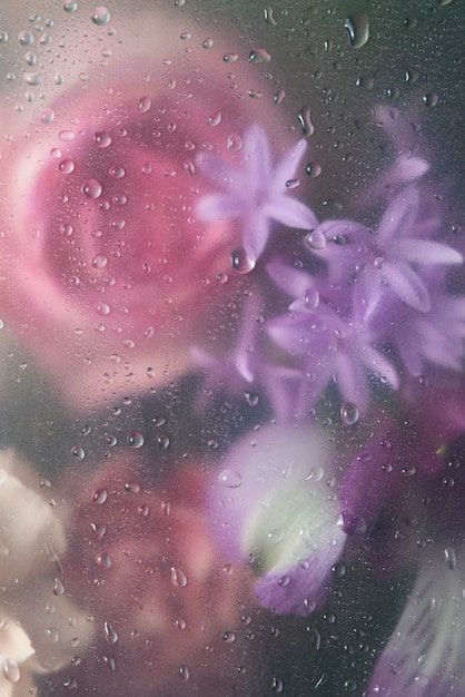 Blick auf Blumen hinter kondensiertem Glas