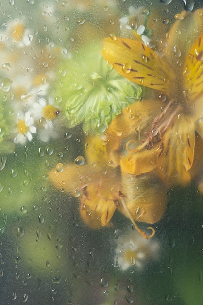 Blick auf Blumen hinter kondensiertem Glas