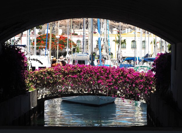 Blick auf Blumen im Wasser