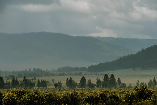 Blick auf das Altai-Gebirge in Richtung Tyungur