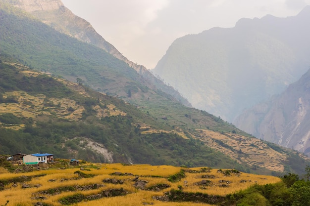 Blick auf das Bergtal in der Manaslu-Region