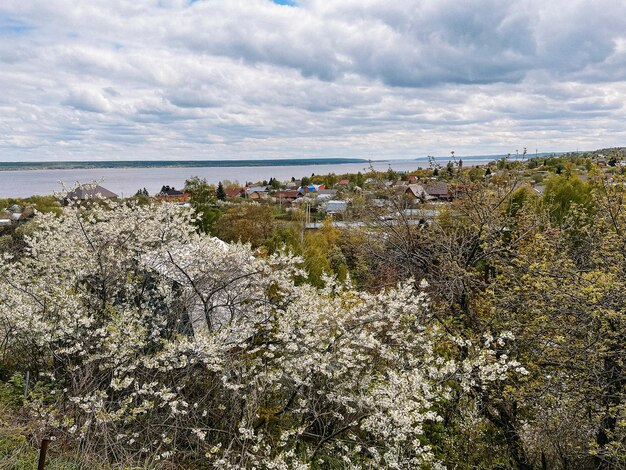 Blick auf das Dorf in der Nähe der Wolga im Frühling Blütende Bäume im Vordergrund