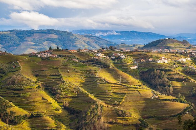 Foto blick auf das douro-tal mit den weinbergen der terrassenfelder portugal