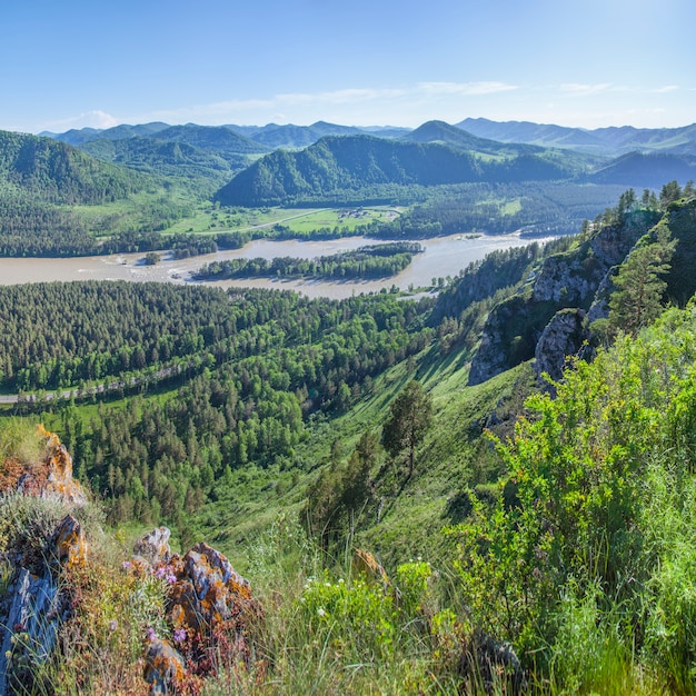 Blick auf das Katun-Tal im Altai-Gebirge an einem Sommertag