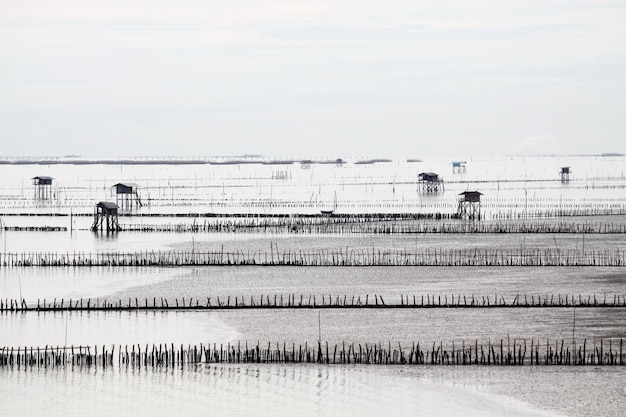 Blick auf das Meer mit einer Schalentierfarm