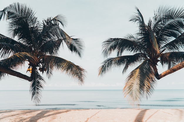 Blick auf das Meer und den Strand.