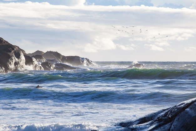 Foto blick auf das ruhige meer gegen den himmel