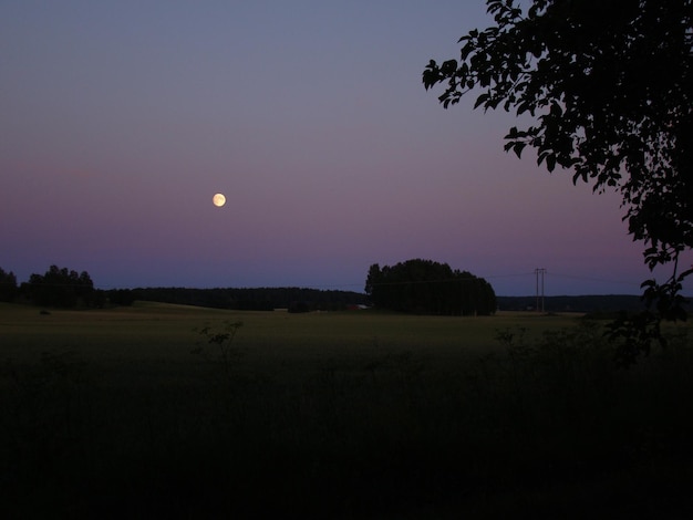 Blick auf das ruhige Meer vor klarem Himmel