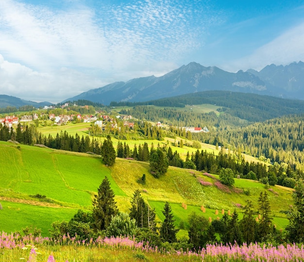 Blick auf das Sommerbergland