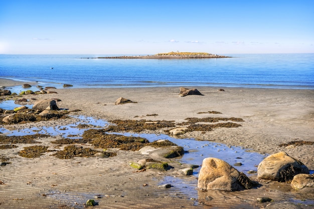 Blick auf das Weiße Meer auf den Solovetsky-Inseln, eine Möwe auf den Wellen und Steine am Ufer in den Strahlen der Herbstsonne