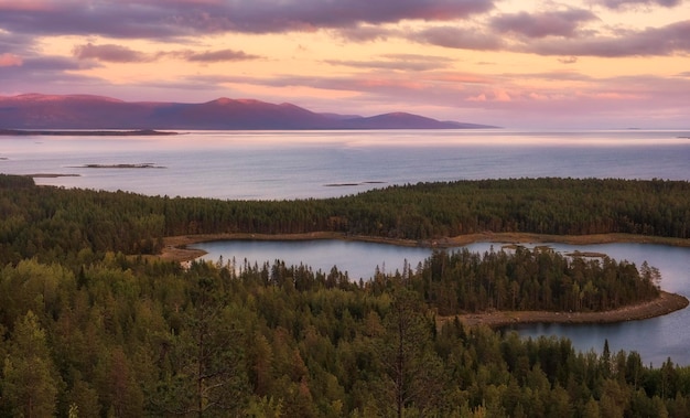 Blick auf das weiße Nordmeer vom Felsen mit Wald bei Sonnenuntergang Herbstabendlandschaft im Norden