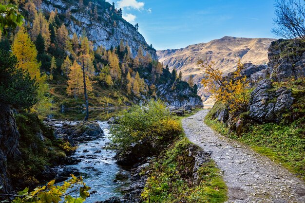 Blick auf den alpinen Herbstbach vom Bergwanderweg zum Tappenkarsee Kleinarl Land Salzburg Österreich