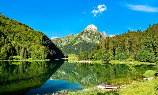 Blick auf den Berg Brunnelistock am Obersee in den Schweizer Alpen