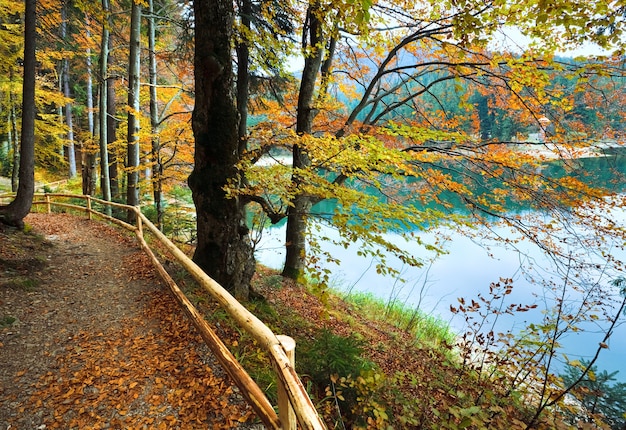 Blick auf den Berg Synevir See durch Herbstbaumzweige