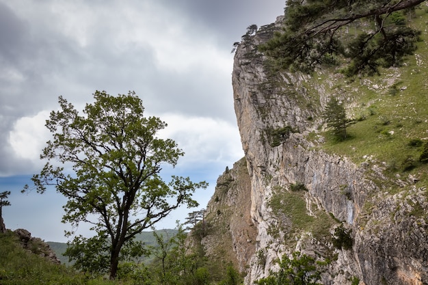 Blick auf den Berghang AiPetri vom Mishor-Weg, der zum Gipfel des Berges führt